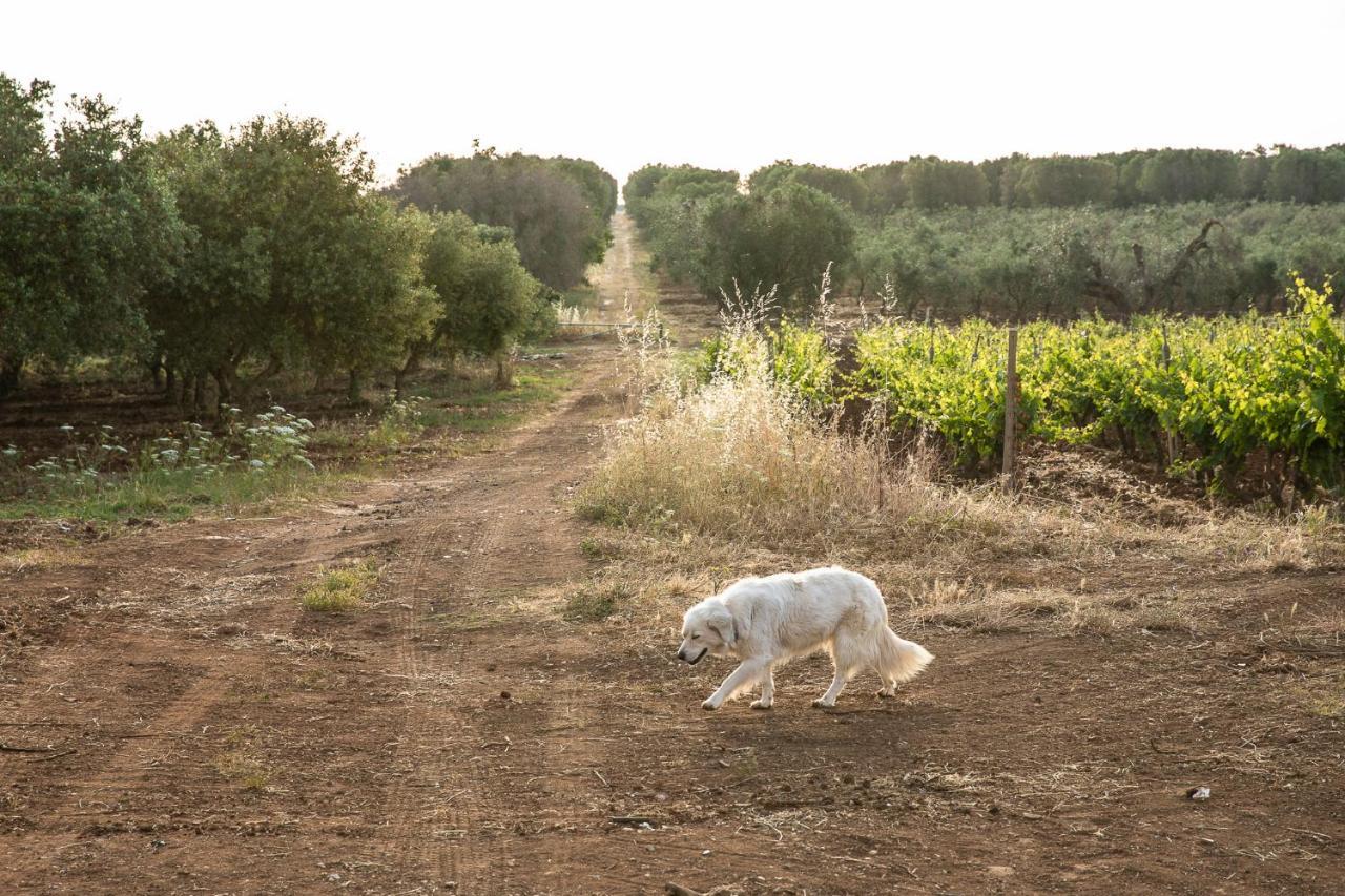 Masseria Baroni Nuovi Brindisi Eksteriør bilde